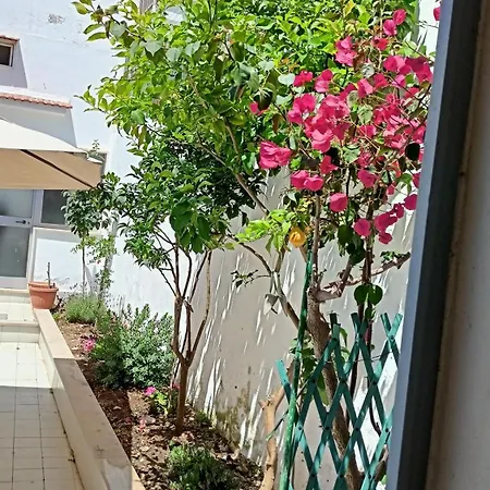 La Casetta Nel Vicolo - Santo Spirito